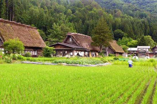 Shirakawa-go; Shirakawa-go Japan travel; What to do in Shirakawa-go Japan; What to see in Shirakawa-go Japan; D.I.Y. Japan itinerary