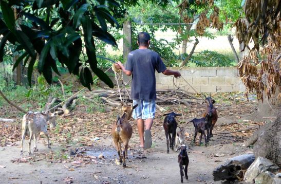 Narvacan, Ilocos Sur