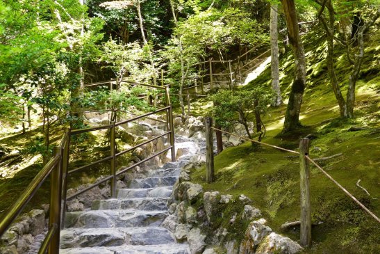 Kyoto Japan travel; What to do in Kyoto Japan; What to see in Kyoto Japan; D.I.Y. Japan itinerary