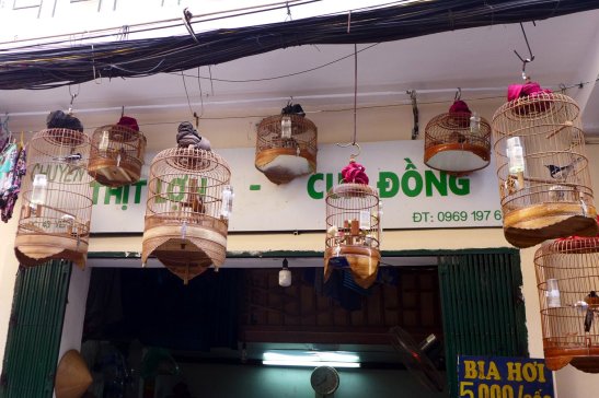 Hanoi Old Quarter; What to do in Hanoi; What to see in Hanoi; D.I.Y. Hanoi itinerary