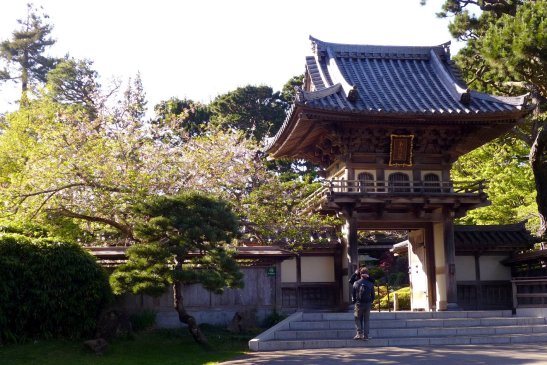 Japanese Tea Garden, Golden Gate Park, San Francisco
