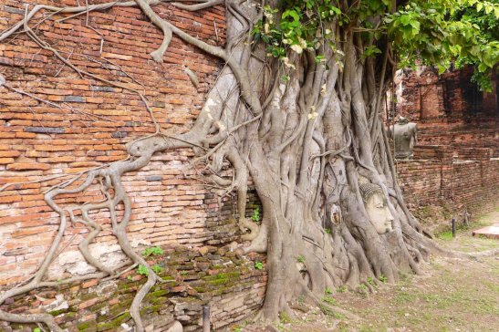 Ayutthaya travel; What to do in Ayutthaya; What to see in Ayutthaya; D.I.Y. Ayutthaya itinerary