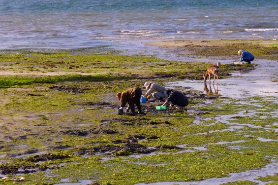 Himeji, Hiroshima and Miyajima in one day