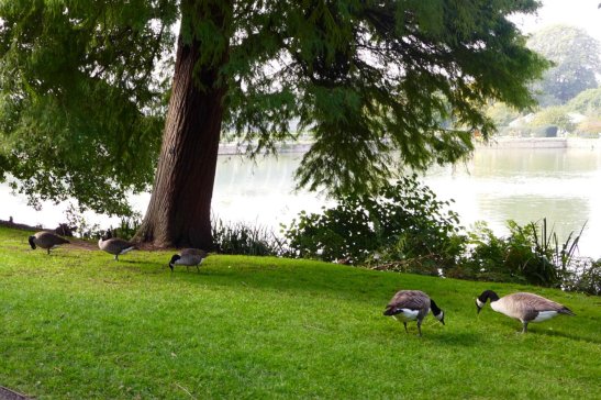 London travel; What to do in London; What to see in London; D.I.Y. London itinerary