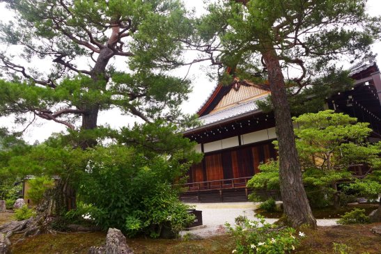 Kyoto Japan travel; What to do in Kyoto Japan; What to see in Kyoto Japan; D.I.Y. Japan itinerary