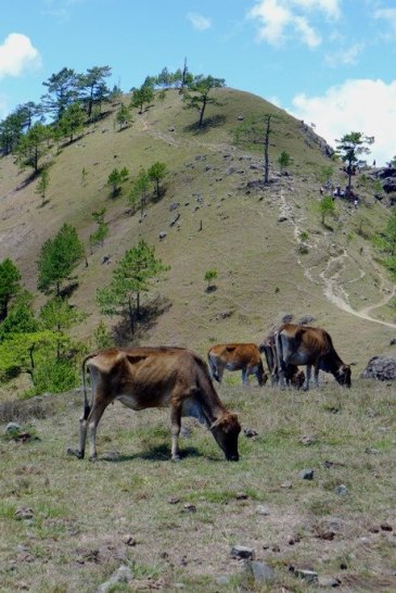 Day climb to Mt. Ulap; Baguio side trip; Baguio itinerary