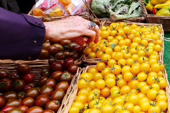 What to see in Cambridge; Things to do in Cambridge; Visiting Cambridge