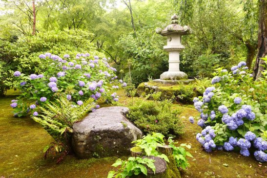 Kyoto Japan travel; What to do in Kyoto Japan; What to see in Kyoto Japan; D.I.Y. Japan itinerary