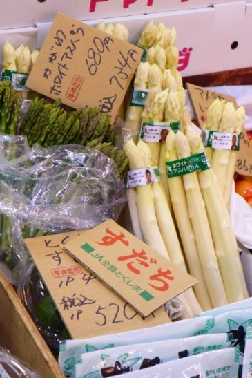 Kanazawa Japan travel; What to do in Kanazawa Japan; What to see in Kanazawa Japan; D.I.Y. Japan itinerary