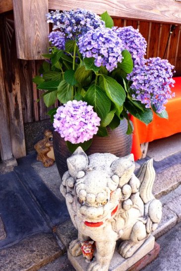 Kyoto Japan travel; What to do in Kyoto Japan; What to see in Kyoto Japan; D.I.Y. Japan itinerary