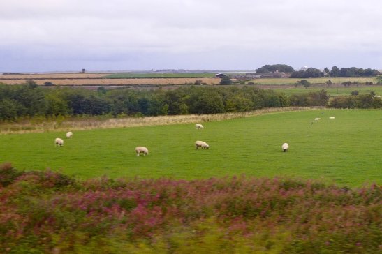 London travel; What to do in London; What to see in London; D.I.Y. London itinerary