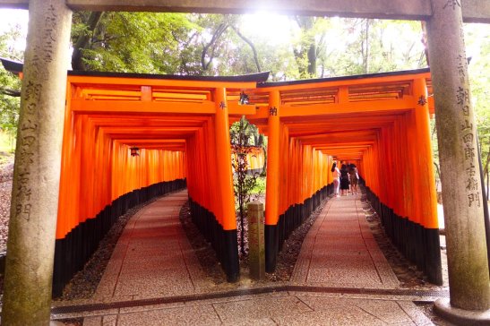 Kyoto Japan travel; What to do in Kyoto Japan; What to see in Kyoto Japan; D.I.Y. Japan itinerary