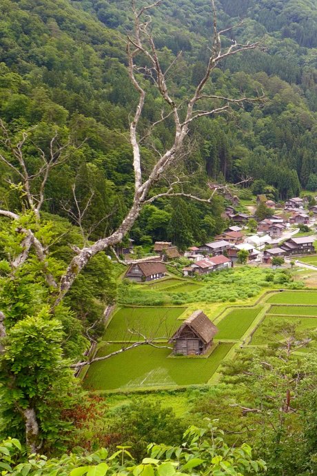 Shirakawa-go; Takayama to Shirakawa-go Japan travel; What to do in Shirakawa-go Japan; What to see in Shirakawa-go Japan; D.I.Y. Japan itinerary