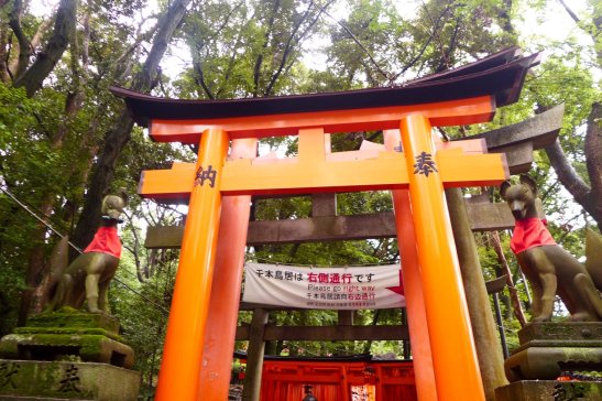 Kyoto Japan travel; What to do in Kyoto Japan; What to see in Kyoto Japan; D.I.Y. Japan itinerary