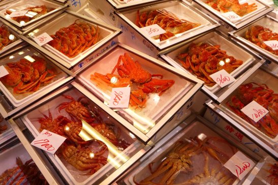 Kanazawa Japan travel; What to do in Kanazawa Japan; What to see in Kanazawa Japan; D.I.Y. Japan itinerary