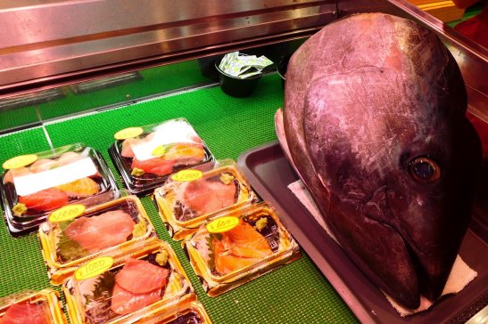 Osaka Japan travel; What to do in Osaka Japan; What to see in Osaka Japan; D.I.Y. Japan itinerary