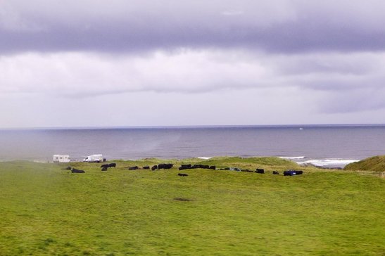 London travel; What to do in London; What to see in London; D.I.Y. London itinerary