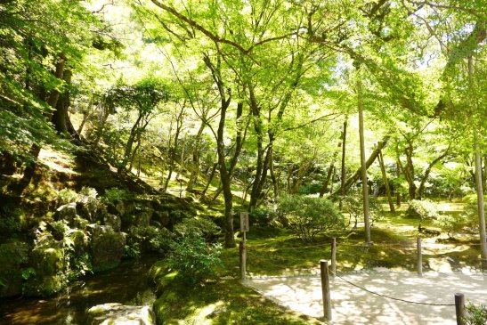 Kyoto Japan travel; What to do in Kyoto Japan; What to see in Kyoto Japan; D.I.Y. Japan itinerary