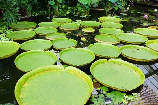 London travel; What to do in London; What to see in London; D.I.Y. London itinerary