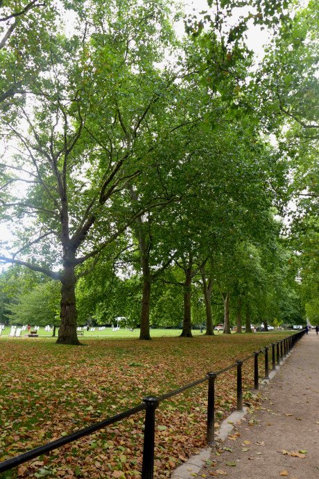 London travel; What to do in London; What to see in London; D.I.Y. London itinerary