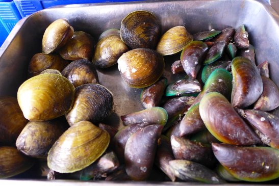 D.I.Y. Roxas Food Trip; What to Eat in Roxas City; Roxas City travel