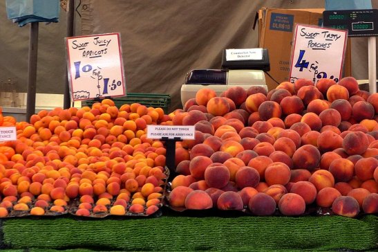 What to see in Cambridge; Things to do in Cambridge; Visiting Cambridge