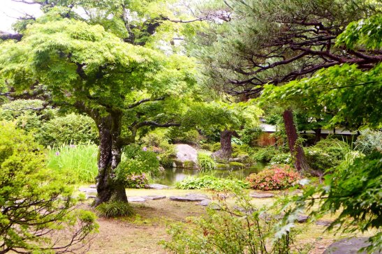 Takayama Jinya; Takayama Japan travel; What to do in Takayama Japan; What to see in Takayama Japan; D.I.Y. Japan itinerary