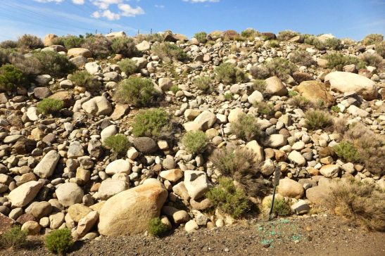 California Zephyr: The Best Train Journey in the US