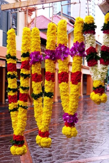 D.I.Y. Little India Singapore Walking Tour; D.I.Y. Singapore itinerary