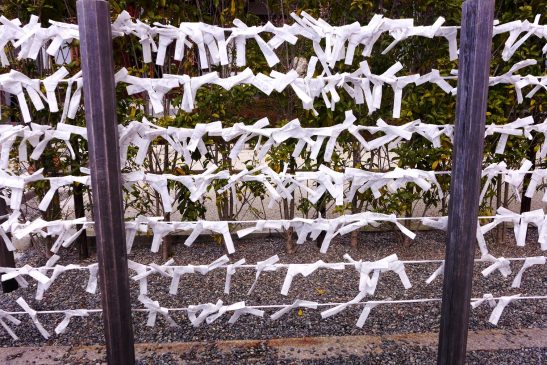 Fushimi Inari Taisha; Kyoto