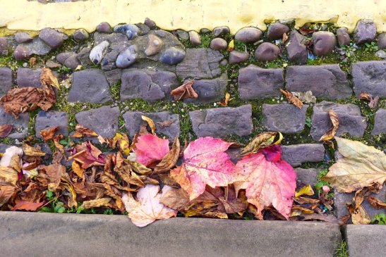 British Fall Foliage