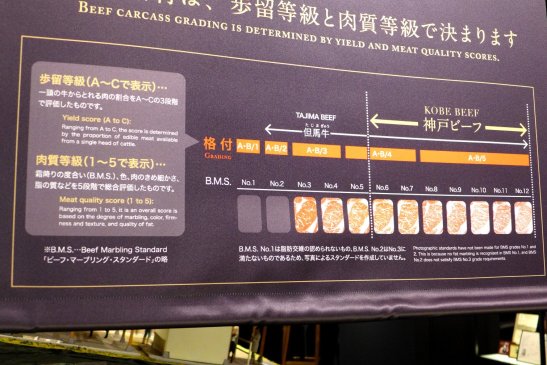 Kobe Japan travel; What to do in Kobe Japan; What to see in Kobe Japan; D.I.Y. Japan itinerary