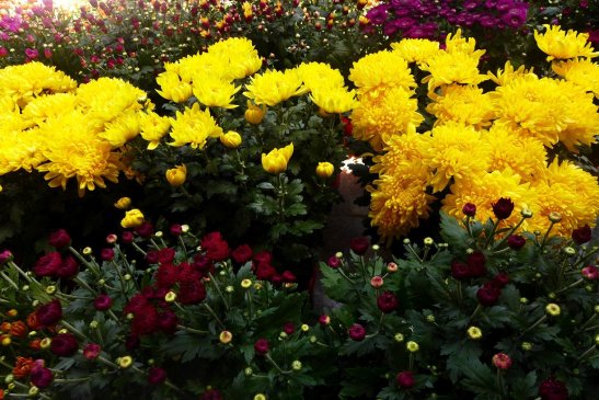 D.I.Y. Half-day Kek Lok Si from Georgetown; Kek Lok Si; Penang; Penang itinerary