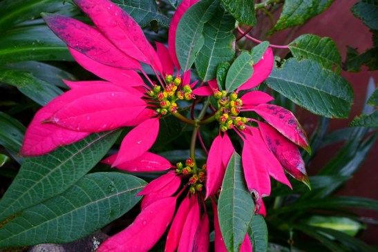 How to Get to Echo Valley