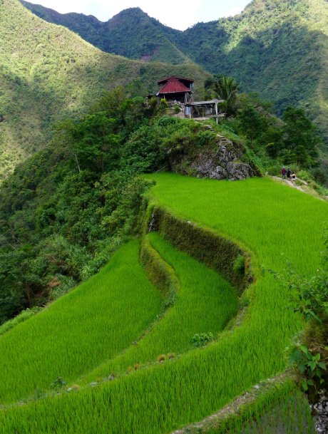 D.I.Y. Banaue-Batad