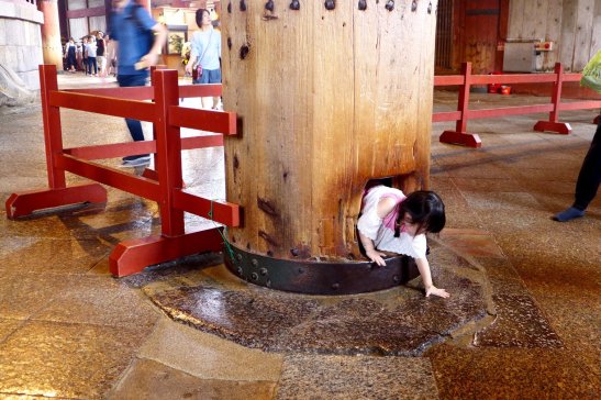 Nara Japan travel; What to do in Nara Japan; What to see in Nara Japan; D.I.Y. Japan itinerary