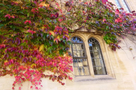 British Fall Foliage